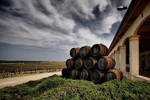 Bodegas Malaga Virgen - wina z Andaluzji