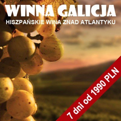 Enoturystyka - winiarnie i winnice w Galicji