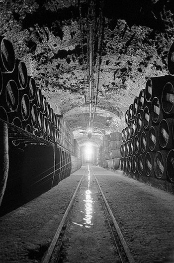 Vina Tondonia - piwnice winiarni w Rioja Alta