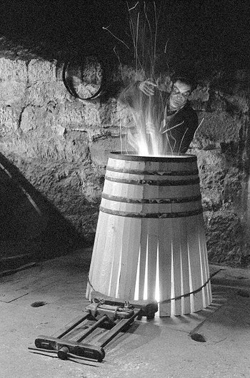 Vina Tondonia - bednarstwo w La Rioja.jpg
