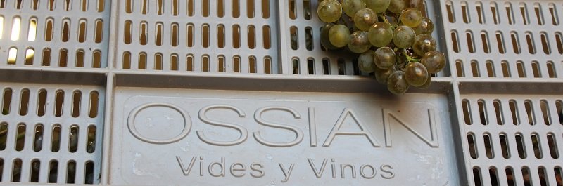 Wina Ossian z Hiszpani - verdejo, Rueda