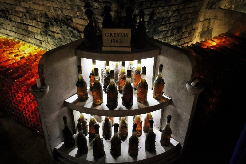 Tokaj Oremus - piwnice winiarni należącej do Vega Sicilia