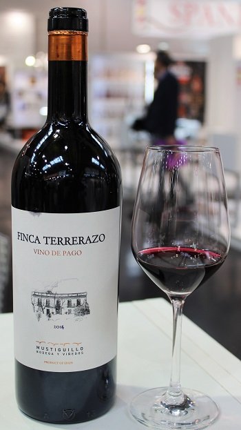 Finca Terrerazo 2014 Vino de Pago - wino hiszpańskie