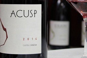 Acusp 2014 Castell d'Encus - wino hiszpańskie (DO Costers del Segre)