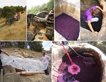 Fermentacja wina w kamiennych lagarach w winiarni Castell d'Encus