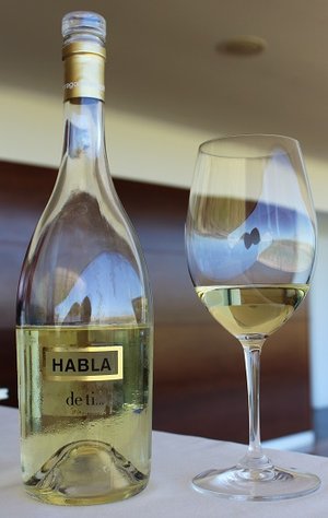 Habla de Ti 2015 - wino hiszpańskie VdT Extremadura, sauvignon blanc