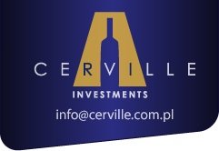 Cerville Investments - banner