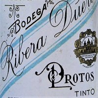 Wina hiszpańskie Ribera del Duero - Bodegas Protos