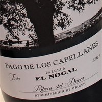 Noty degustacyjne hiszpańskich win Pago de los Capellanes