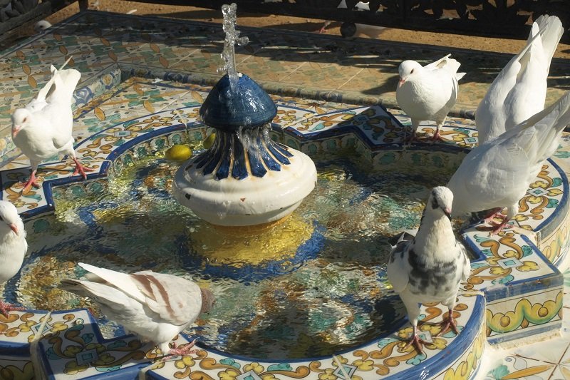 Fontanny gołębi w Parku Marii Luizy w Sewilli