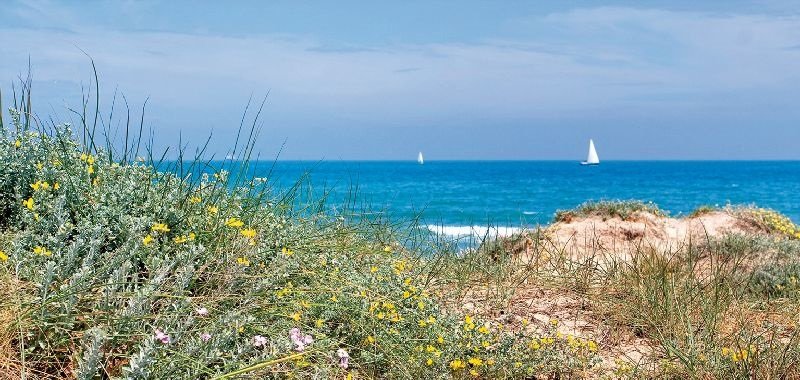 Playa del Saler czyli piękna plaża położona w sercu parku krajobrazowego Albuferra na obrzeżach Walencji