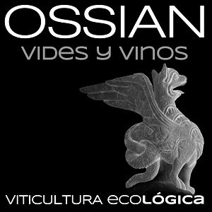 Ossian - producent najlepszych win ze szczepu verdejo w regionie Rueda