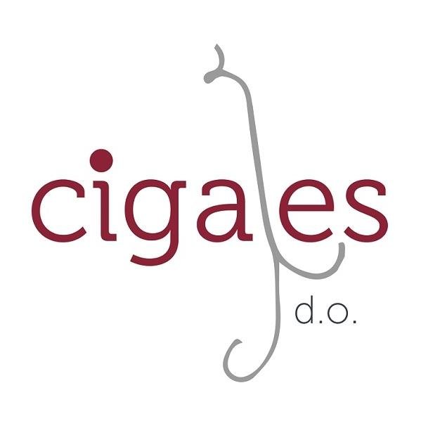 D.O. Cigales - apelacja wina w Hiszpanii