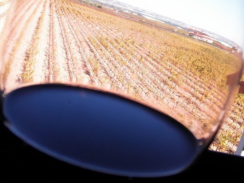 Vinedos Alfaro - wino Rioja 2.jpg