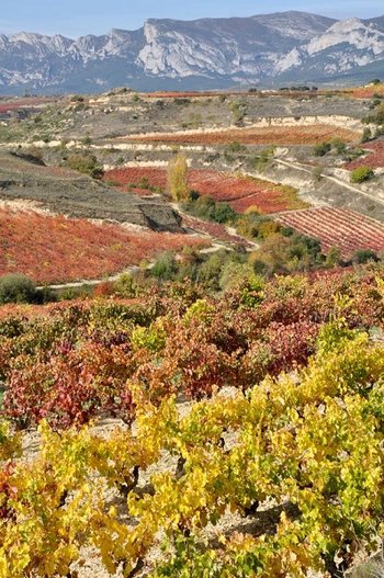 La Rioja, Hiszpania - zwiedzanie regionu, zabytki i atrakcje turystyczne