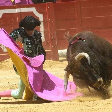 Hiszpańska corrida de toros
