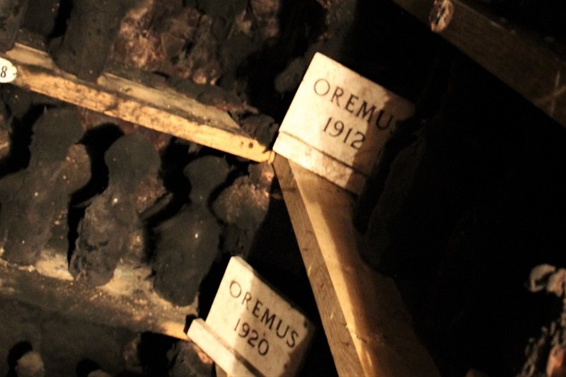 Tokaj-Oremus - stuletnie wina w piwnicach w Tolcsva