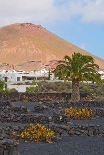Poznaj region La Geria i winiarstwo na wyspie Lanzarote