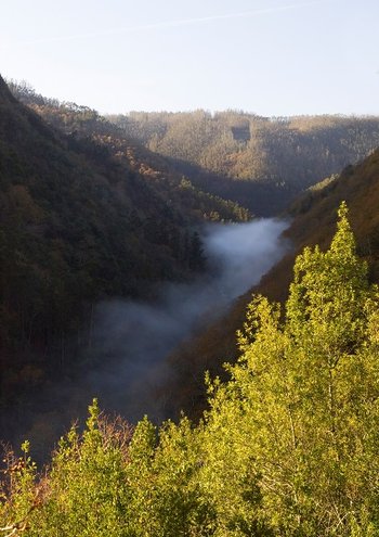 Fragas do Eume, Hiszpania - poznaj rezerwat lasów łęgowych nad rzeką Eume w Galicji